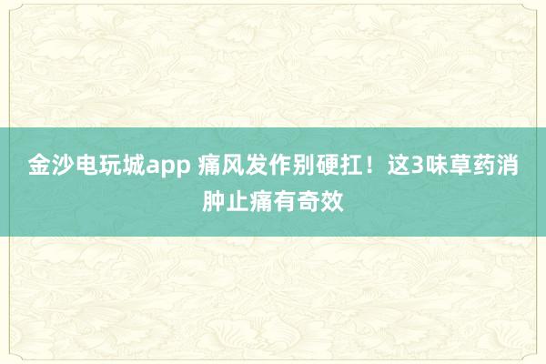 金沙電玩城app 痛風發作別硬扛!這3味草藥消腫止痛有奇效