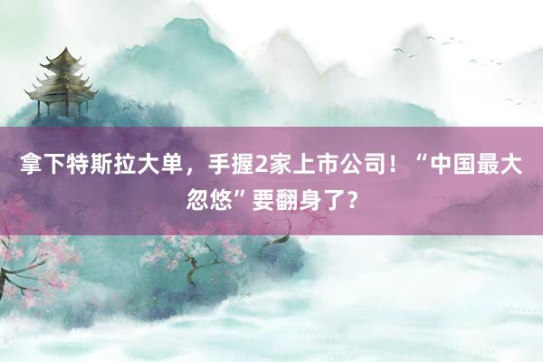 拿下特斯拉大單，手握2家上市公司！“中國最大忽悠”要翻身了？