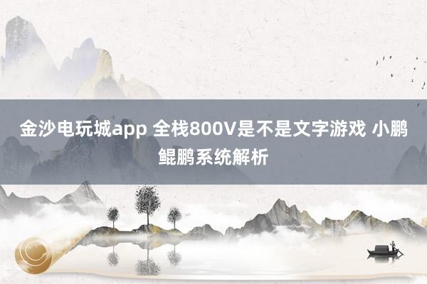金沙電玩城app 全棧800V是不是文字游戲 小鵬鯤鵬系統解析